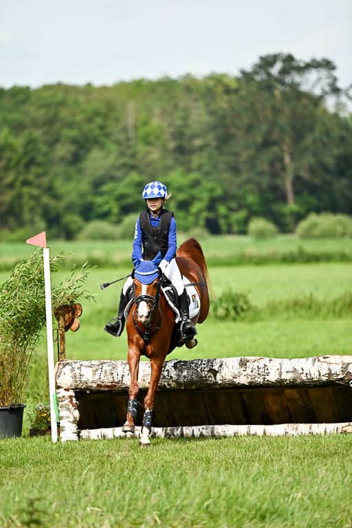 Goldene Schärpe Ponys in Löningen 2026 | 06062026 Gelände 1 Abt_0907 