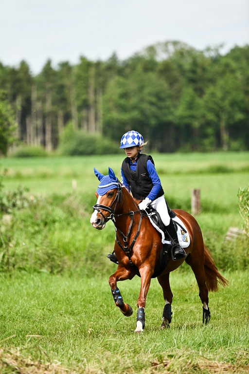 Goldene Schärpe Ponys in Löningen 2026 | 06062026 Gelände 1 Abt_0908 
