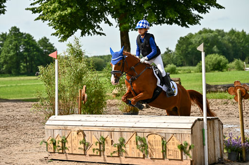 Goldene Schärpe Ponys in Löningen 2026 | 06062026 Gelände 1 Abt_0910 