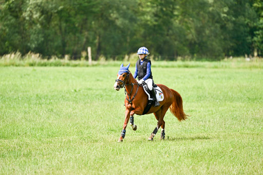Goldene Schärpe Ponys in Löningen 2026 | 06062026 Gelände 1 Abt_0912 