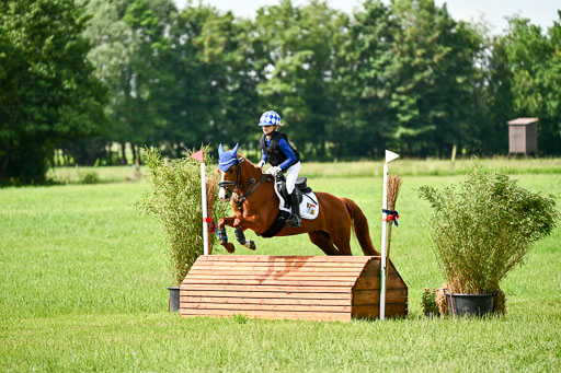 Goldene Schärpe Ponys in Löningen 2026 | 06062026 Gelände 1 Abt_0914 