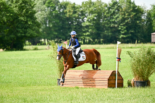 Goldene Schärpe Ponys in Löningen 2026 | 06062026 Gelände 1 Abt_0915 