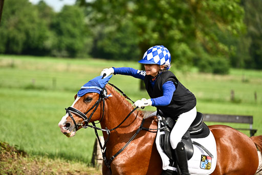 Goldene Schärpe Ponys in Löningen 2026 | 06062026 Gelände 1 Abt_0927 