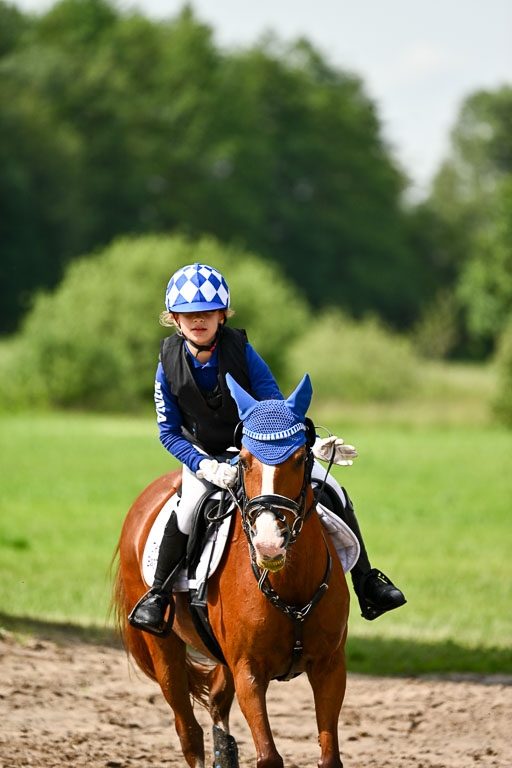 Goldene Schärpe Ponys in Löningen 2026 | 06062026 Gelände 1 Abt_0930 