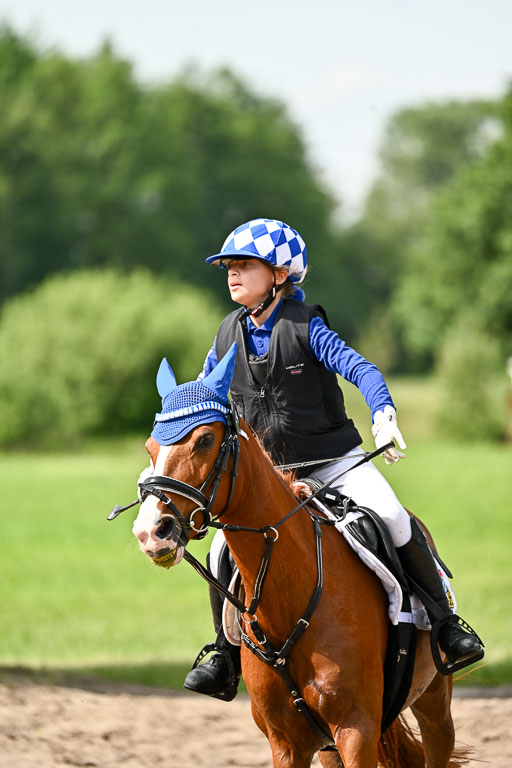 Goldene Schärpe Ponys in Löningen 2026 | 06062026 Gelände 1 Abt_0931 