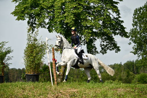 Goldene Schärpe Ponys in Löningen 2026 | 06062026 Gelände 1 Abt_0937 