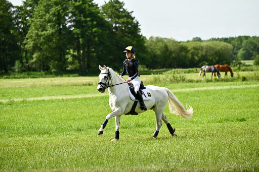 Goldene Schärpe Ponys in Löningen 2026 | 06062026 Gelände 1 Abt_0943 