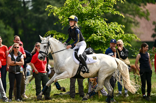 Goldene Schärpe Ponys in Löningen 2026 | 06062026 Gelände 1 Abt_0951 