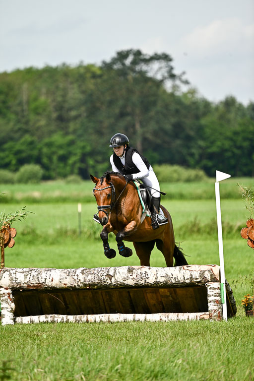 Goldene Schärpe Ponys in Löningen 2026 | 06062026 Gelände 1 Abt_0958 