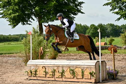 Goldene Schärpe Ponys in Löningen 2026 | 06062026 Gelände 1 Abt_0963 