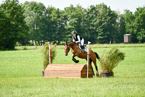 Goldene Schärpe Ponys in Löningen 2026 | 06062026 Gelände 1 Abt_0964 