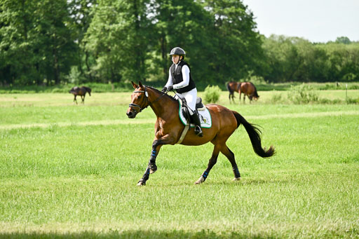 Goldene Schärpe Ponys in Löningen 2026 | 06062026 Gelände 1 Abt_0966 