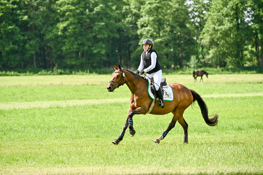 Goldene Schärpe Ponys in Löningen 2026 | 06062026 Gelände 1 Abt_0967 