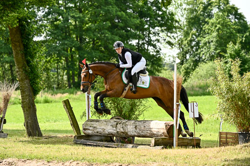 Goldene Schärpe Ponys in Löningen 2026 | 06062026 Gelände 1 Abt_0969 