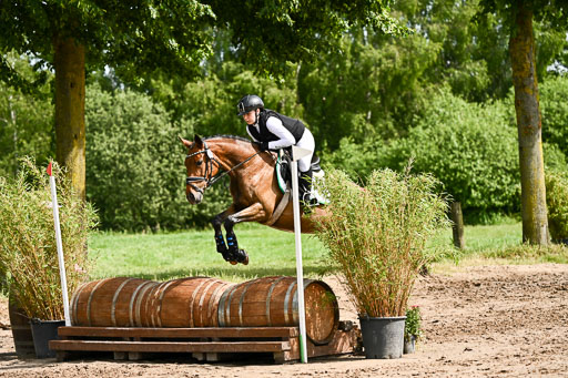 Goldene Schärpe Ponys in Löningen 2026 | 06062026 Gelände 1 Abt_0973 