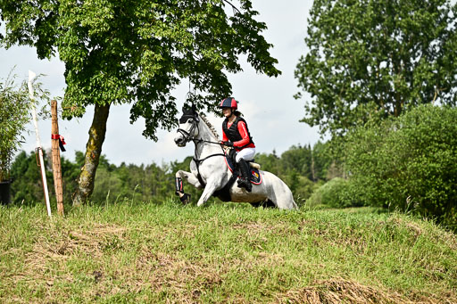 Goldene Schärpe Ponys in Löningen 2026 | 06062026 Gelände 1 Abt_0981 
