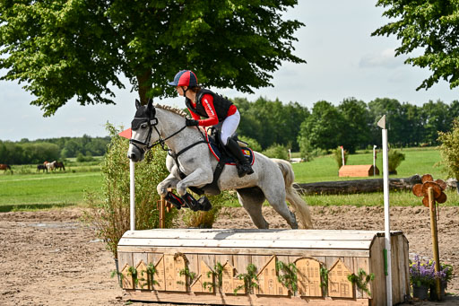 Goldene Schärpe Ponys in Löningen 2026 | 06062026 Gelände 1 Abt_0983 