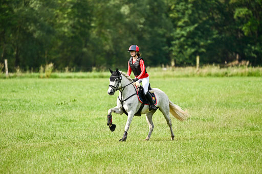 Goldene Schärpe Ponys in Löningen 2026 | 06062026 Gelände 1 Abt_0984 