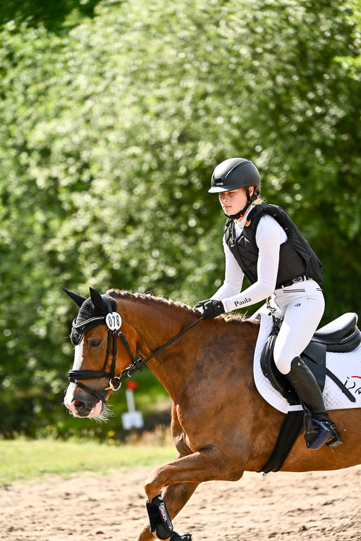 Goldene Schärpe Ponys in Löningen 2026 | 06062026 Gelände 1 Abt_1001 