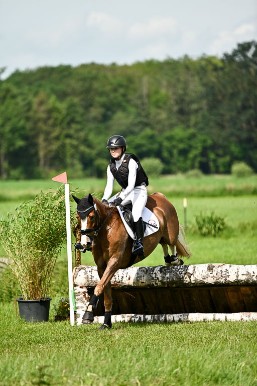 Goldene Schärpe Ponys in Löningen 2026 | 06062026 Gelände 1 Abt_1003 