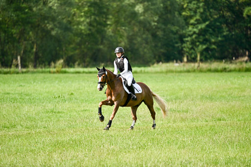 Goldene Schärpe Ponys in Löningen 2026 | 06062026 Gelände 1 Abt_1006 