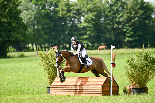 Goldene Schärpe Ponys in Löningen 2026 | 06062026 Gelände 1 Abt_1009 