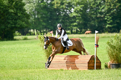 Goldene Schärpe Ponys in Löningen 2026 | 06062026 Gelände 1 Abt_1010 