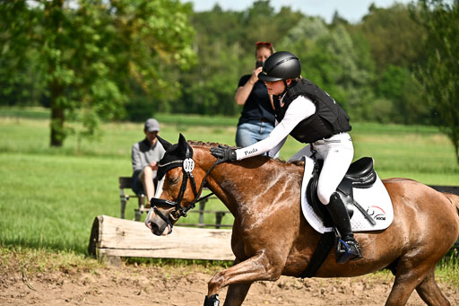 Goldene Schärpe Ponys in Löningen 2026 | 06062026 Gelände 1 Abt_1021 