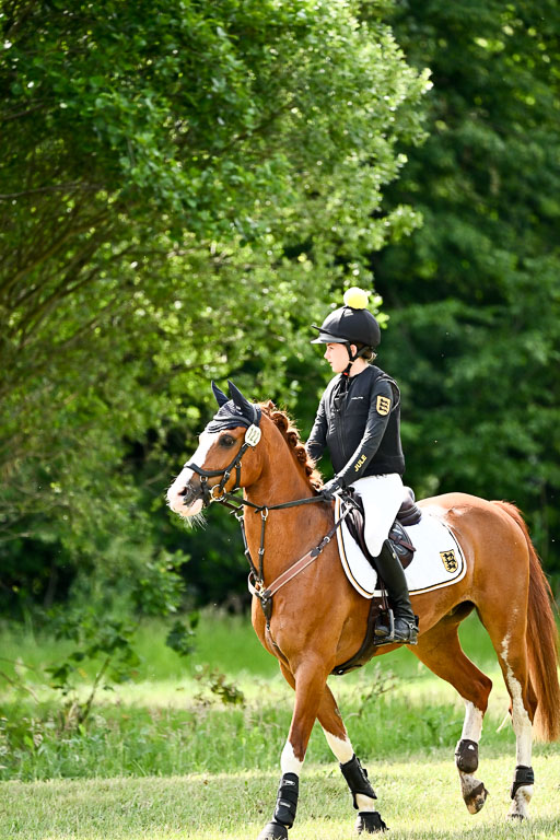 Goldene Schärpe Ponys in Löningen 2026 | 06062026 Gelände 1 Abt_1031 