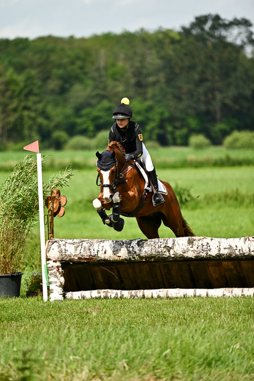 Goldene Schärpe Ponys in Löningen 2026 | 06062026 Gelände 1 Abt_1034 
