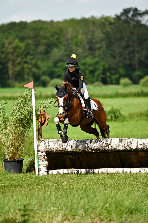 Goldene Schärpe Ponys in Löningen 2026 | 06062026 Gelände 1 Abt_1035 