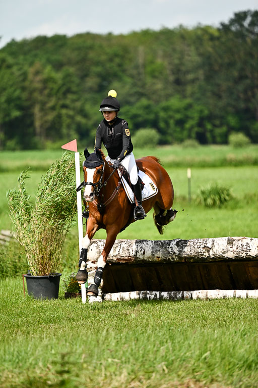 Goldene Schärpe Ponys in Löningen 2026 | 06062026 Gelände 1 Abt_1036 