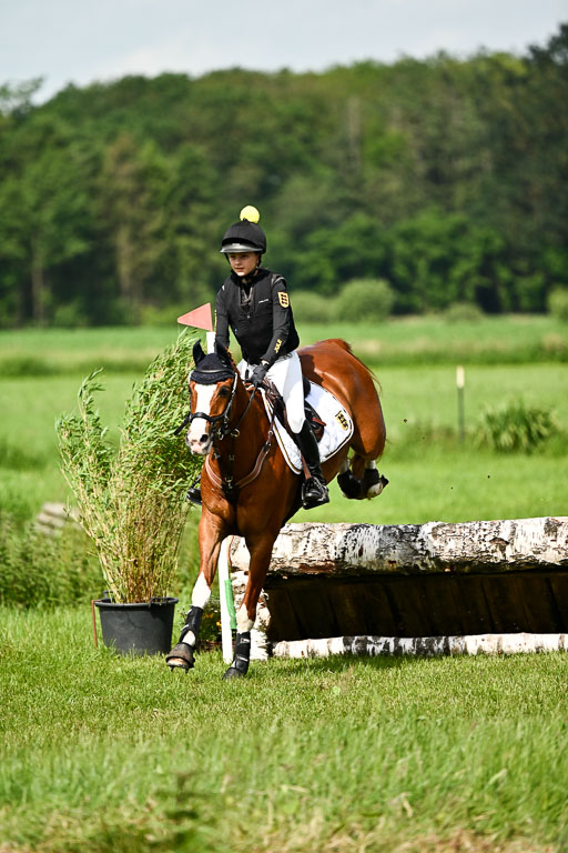 Goldene Schärpe Ponys in Löningen 2026 | 06062026 Gelände 1 Abt_1037 