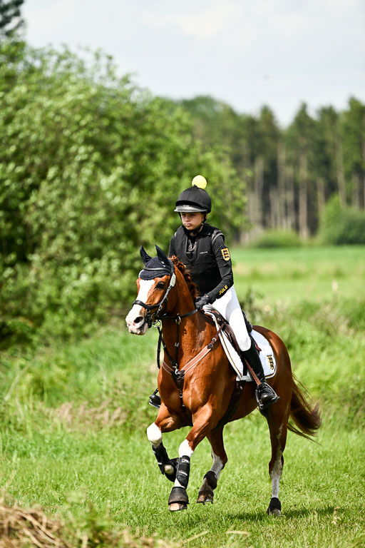 Goldene Schärpe Ponys in Löningen 2026 | 06062026 Gelände 1 Abt_1039 