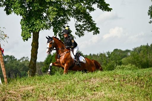 Goldene Schärpe Ponys in Löningen 2026 | 06062026 Gelände 1 Abt_1040 