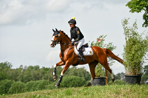 Goldene Schärpe Ponys in Löningen 2026 | 06062026 Gelände 1 Abt_1041 