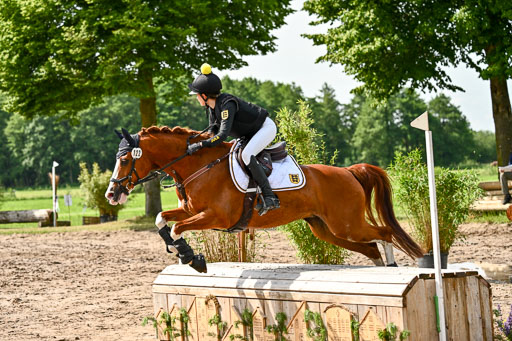 Goldene Schärpe Ponys in Löningen 2026 | 06062026 Gelände 1 Abt_1044 