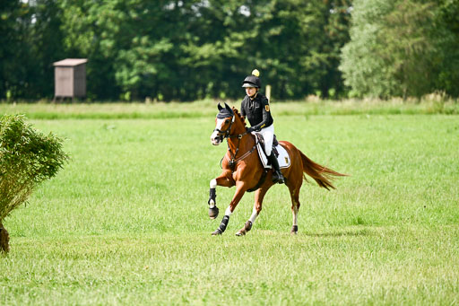 Goldene Schärpe Ponys in Löningen 2026 | 06062026 Gelände 1 Abt_1046 