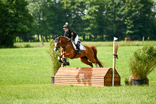 Goldene Schärpe Ponys in Löningen 2026 | 06062026 Gelände 1 Abt_1048 