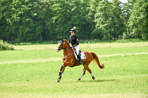 Goldene Schärpe Ponys in Löningen 2026 | 06062026 Gelände 1 Abt_1050 