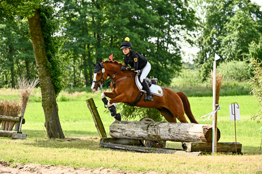 Goldene Schärpe Ponys in Löningen 2026 | 06062026 Gelände 1 Abt_1051 