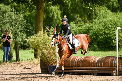 Goldene Schärpe Ponys in Löningen 2026 | 06062026 Gelände 1 Abt_1061 