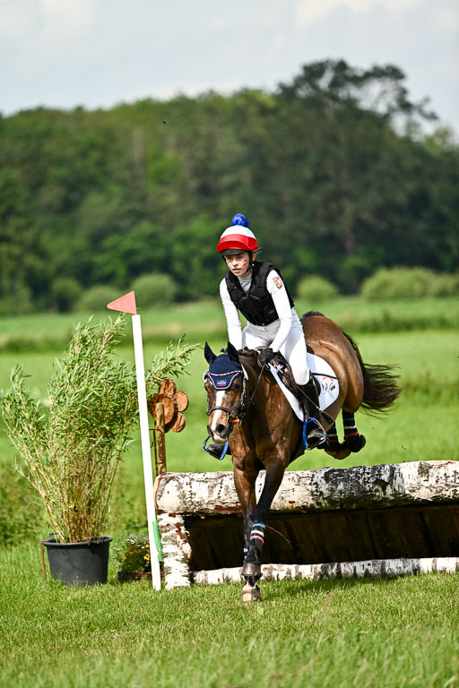 Goldene Schärpe Ponys in Löningen 2026 | 06062026 Gelände 1 Abt_1068 