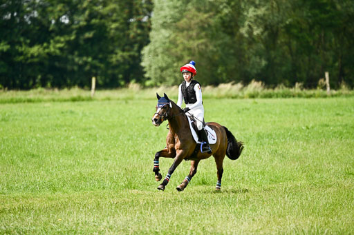 Goldene Schärpe Ponys in Löningen 2026 | 06062026 Gelände 1 Abt_1074 