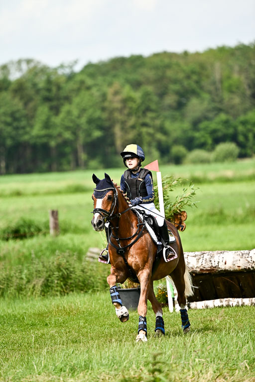 Goldene Schärpe Ponys in Löningen 2026 | 06062026 Gelände 1 Abt_1101 
