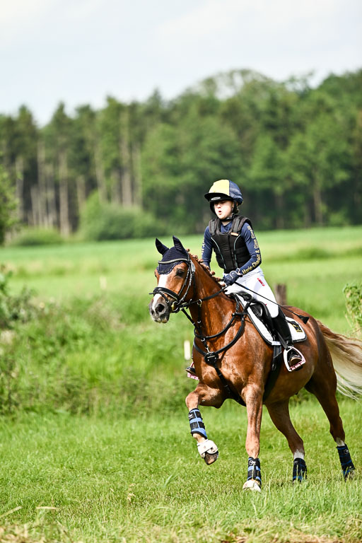 Goldene Schärpe Ponys in Löningen 2026 | 06062026 Gelände 1 Abt_1102 