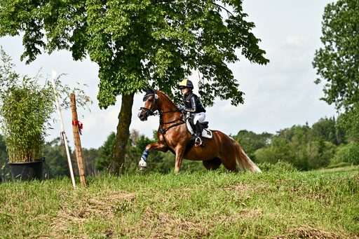 Goldene Schärpe Ponys in Löningen 2026 | 06062026 Gelände 1 Abt_1103 