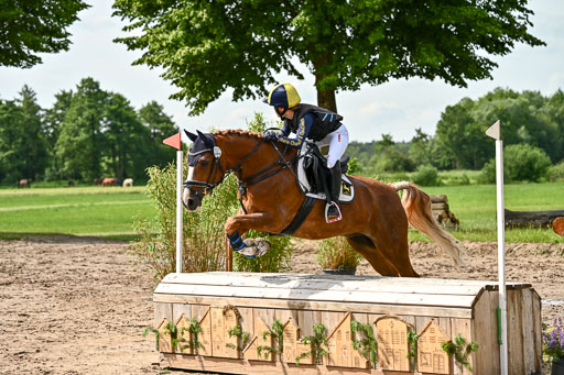Goldene Schärpe Ponys in Löningen 2026 | 06062026 Gelände 1 Abt_1105 