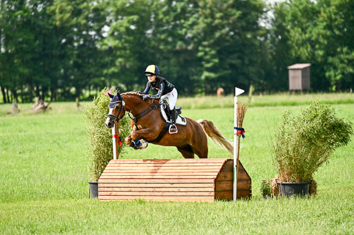Goldene Schärpe Ponys in Löningen 2026 | 06062026 Gelände 1 Abt_1108 