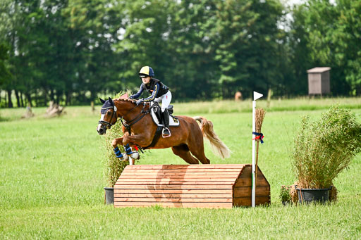 Goldene Schärpe Ponys in Löningen 2026 | 06062026 Gelände 1 Abt_1109 